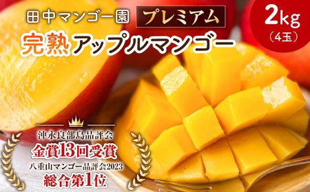 【 2026年 先行予約 】 田中マンゴー園 の プレミアム 完熟 アップルマンゴー 2kg （ 4玉 ）  W001-012u 果物 マンゴー