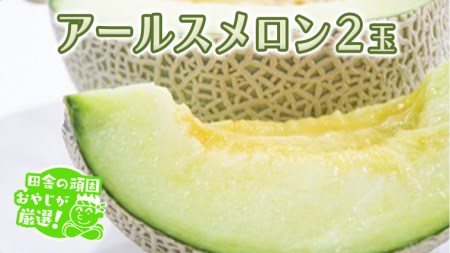 アールスメロン 2個