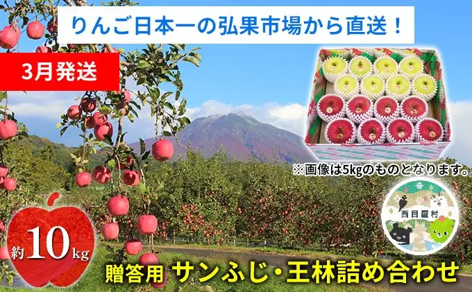 りんご 【3月発送】糖度13度～ 贈答用 サンふじ 王林 詰め合わせ 約10kg　リンゴ 林檎 青森りんご 糖度 13度 甘い 酸味 デザート フルーツ 果物 お取り寄せ 産地直送 旬 季節限定 弘果物流 青森県 西目屋村 西目屋村産