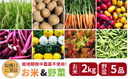 【☆畑直送☆栽培期間中農薬不使用！】お 米 2kg & 野菜 5品 の セット 糸島市 / オーガニックナガミツファーム 	[AGE035]