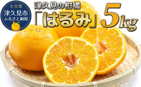 【先行予約】津久見のみかん はるみ 5kg | 津久見市
