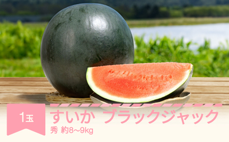 【先行予約】すいか ブラックジャック 1玉  約8~9kg 令和8年産 2026年産 果物 ※沖縄・離島への配送不可 no-subjx1 