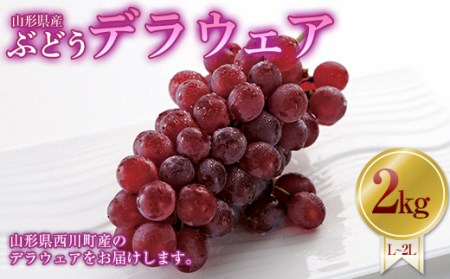 FYN9-630 山形県 西川町産 デラウェア 2kg(12～16本) L～2L 箱詰め 2026年8月中旬から順次発送 葡萄 ぶどう 種無し 果物 くだもの フルーツ 自宅 家庭