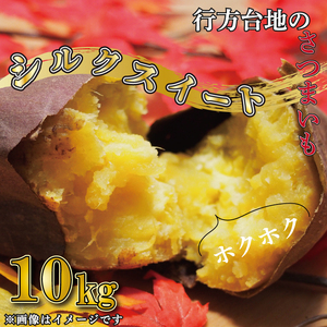 268.数量限定.お買い得さつまいもシルクスイート訳あり　加工用　箱込み10kg さつまいも シルクスイート 訳あり 10kg 箱込（内容量9kg＋補償分500g