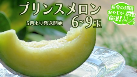 プリンスメロン 6～9個 【5月発送開始】