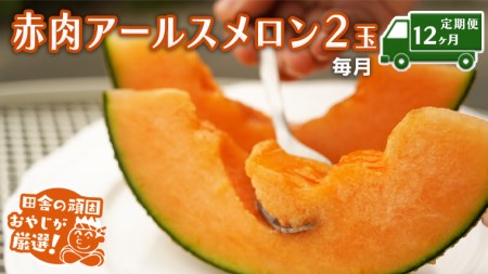 【定期便】赤肉 アールスメロン 毎月2個 × 12か月