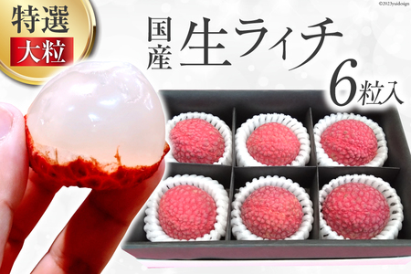 【期間限定発送】 特選 大粒 生ライチ 6粒入り [大黒園 宮崎県 日向市 452060924]