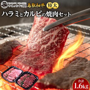 45.鳥取牛ハラミと鳥取 和牛 カルビの特大 焼肉 セット 合計1.6kg  | 焼肉