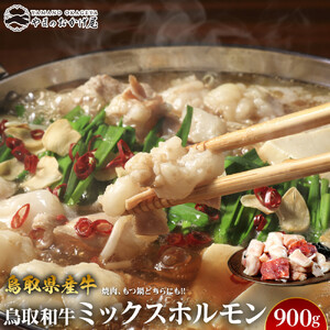 73.鳥取県産 牛 ミックス ホルモン 900g  | 和牛
