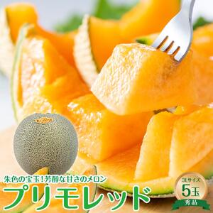 739.【先行予約】【ＪＡ】大栄メロン　プリモレッド（赤肉）赤秀3Ｌ×5玉　※着日指定不可　※離島への配送不可　※2026年9月末頃～10月下旬頃に順次発送予定