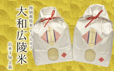 【令和7年度産】《新米》特別栽培米　奈良県広陵町産ヒノヒカリ　白米3kg×2/// ひのひかり ヒノヒカリ 特別栽培米 セット 米 お米 おにぎり おむすぎ ご飯 仕送り ギフト 贈答 農家 直送 奈良県産 奈良県 広陵町　