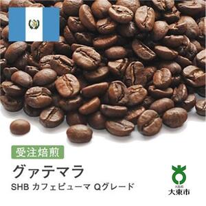 [豆]#49 受注焙煎！310g グァテマラSHB カフェピューマ Qグレード 珈琲豆 コーヒー豆 自家焙煎