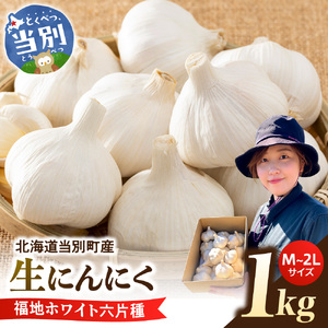 【令和8年先行受付】生にんにく（福地ホワイト六片種）1kg