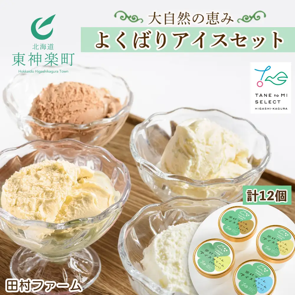 大自然の恵み～よくばりアイスセット＜田村ファーム＞