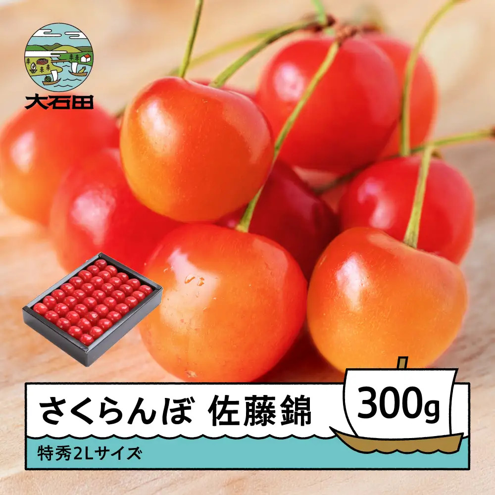 令和8年産 さくらんぼ 佐藤錦 特秀2L 化粧箱入 300gns-snt2x300