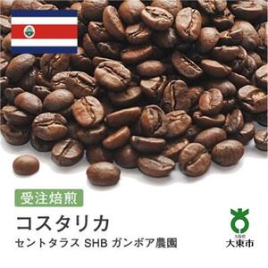 [豆]#71 受注焙煎！310g コスタリカ セントタラス SHB ガンボア農園 珈琲豆 コーヒー豆 自家焙煎