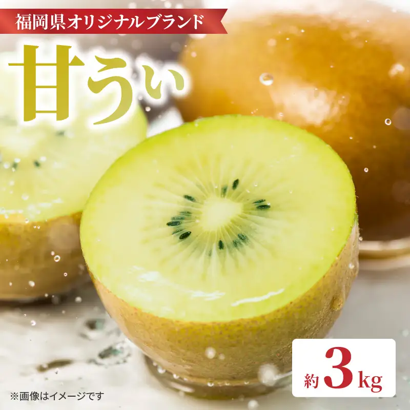 【先行受付：2026年11月頃発送開始】福岡限定品種キウイ「甘うぃ」約3kg<配送不可地域：北海道・沖縄・離島> 先行受付 キウイ キウイフルーツ フルーツ 果物 くだもの 甘い 高糖度 希少 オリジナル品種 新品種 新ブランド 072-147
