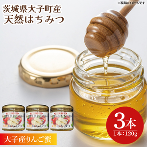 【2026年10月～2027年4月発送】天然はちみつ【大子のりんご蜜 120g×3本セット】|茨城県 大子町 奥久慈 ハチミツ 蜂蜜 プレゼント 包装(BG003)