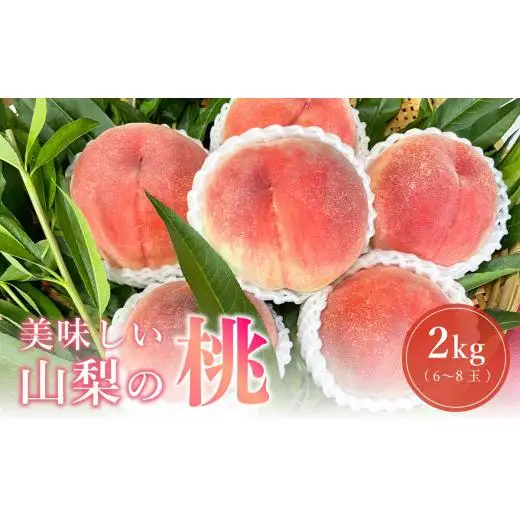 【2025年7月より順次発送】山梨県産 桃 朝採れ 2kg 6 ～ 8 玉 日本一 産地 特産品 旬 完熟 お中元 贈り物 贈呈用 ギフト 果物 フルーツ くだもの ピーチ 産地直送 送料無料 さんちゃんファーム