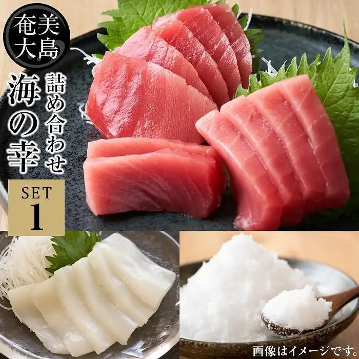 【奄美大島 瀬戸内町】海の幸　詰め合わせセット１（黒マグロ・ソデイカ・加計呂麻の塩）