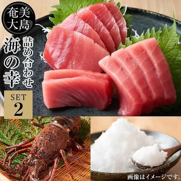 【奄美大島 瀬戸内町】海の幸　詰め合わせセット２（伊勢海老・黒マグロ・加計呂麻の塩）