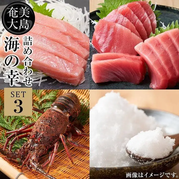 【奄美大島 瀬戸内町】海の幸　詰め合わせセット３（伊勢海老・黒マグロ2種・夜行貝・加計呂麻の塩）