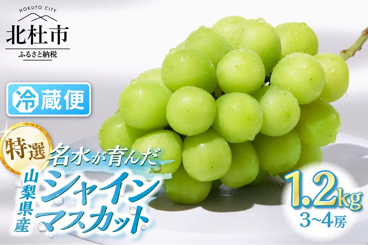 【2026年発送】【期間限定】八ヶ岳南麓の天然水で育てたシャインマスカット 1.2kg(3～4房)  シャインマスカット 葡萄 ぶどう ブドウ 山梨 マスカット 種なし フルーツ 果物 ギフト 数量限定 期間限定 北杜市 [h198]