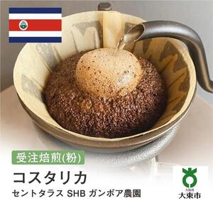 [粉]#71 受注焙煎！310g コスタリカ セントタラス SHB ガンボア農園 珈琲粉 コーヒー粉 自家焙煎