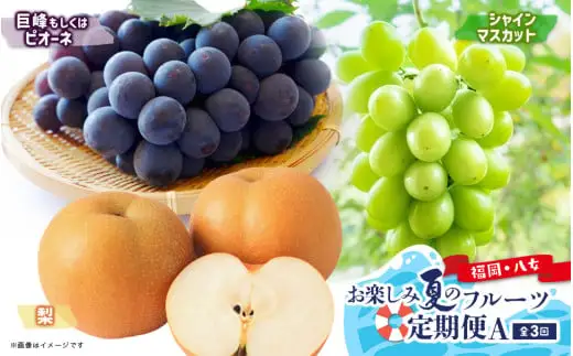 福岡八女　お楽しみ夏のフルーツ定期便Ａ　ぶどう　シャインマスカット　梨｜＜配送不可：北海道・沖縄・離島＞　072-T026