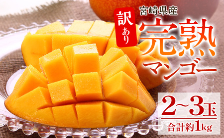 マンゴー 訳あり 宮崎 完熟 マンゴー[約1kg 2～3玉]