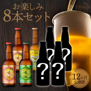 12ヶ月定期便宮崎ひでじビールお楽しみ8本セット N073-YZH035