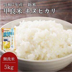 400個限定【令和7年産新米】甲良米 キヌヒカリ 無洗米 5kg