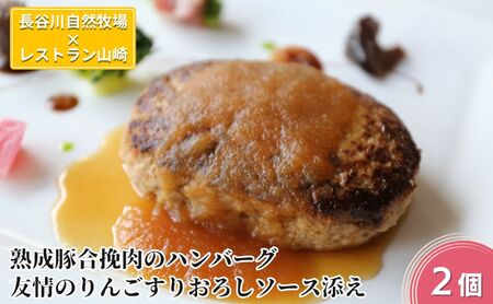 ハンバーグ 熟成豚合挽肉のハンバーグ 2個 友情のりんごすりおろしソース添え セット 湯煎 温めるだけ レトルト 小分け 個包装 お試し 簡単 簡単調理 惣菜 おかず お弁当 弁当 時短 肉 お肉 熟成肉 豚肉 ギフト 贈答 冷凍 長谷川自然牧場産