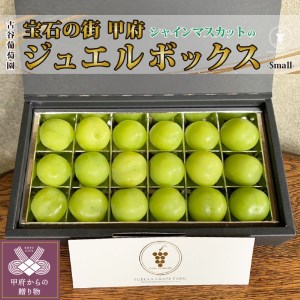 〈2026年度配送分〉宝石の街甲府の『シャインのジュエルBox（S）』