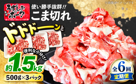 6回定期便 国産豚 こま切れ 1.5kg SPF豚 訳あり CAG017 豚肉 こま切れ
