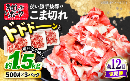 12回定期便 豚肉 こま切れ 1.5kg 訳あり CAG018 豚肉 こま切れ 国産 定期便