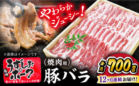 12回定期便 国産豚 バラ焼肉 700g 訳あり CAG022 焼肉