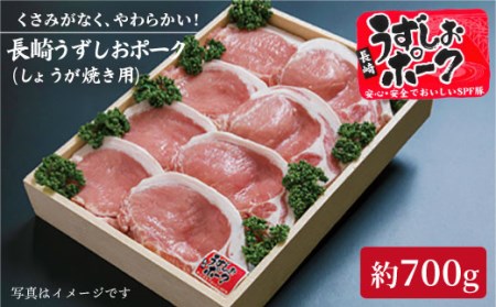 生姜焼き 豚 700g 訳あり CAG023 生姜焼き