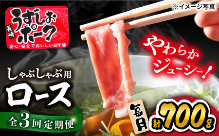 3回定期便 国産豚 しゃぶしゃぶ用 700g 訳あり CAG028 豚肉 しゃぶしゃぶ用 豚肉