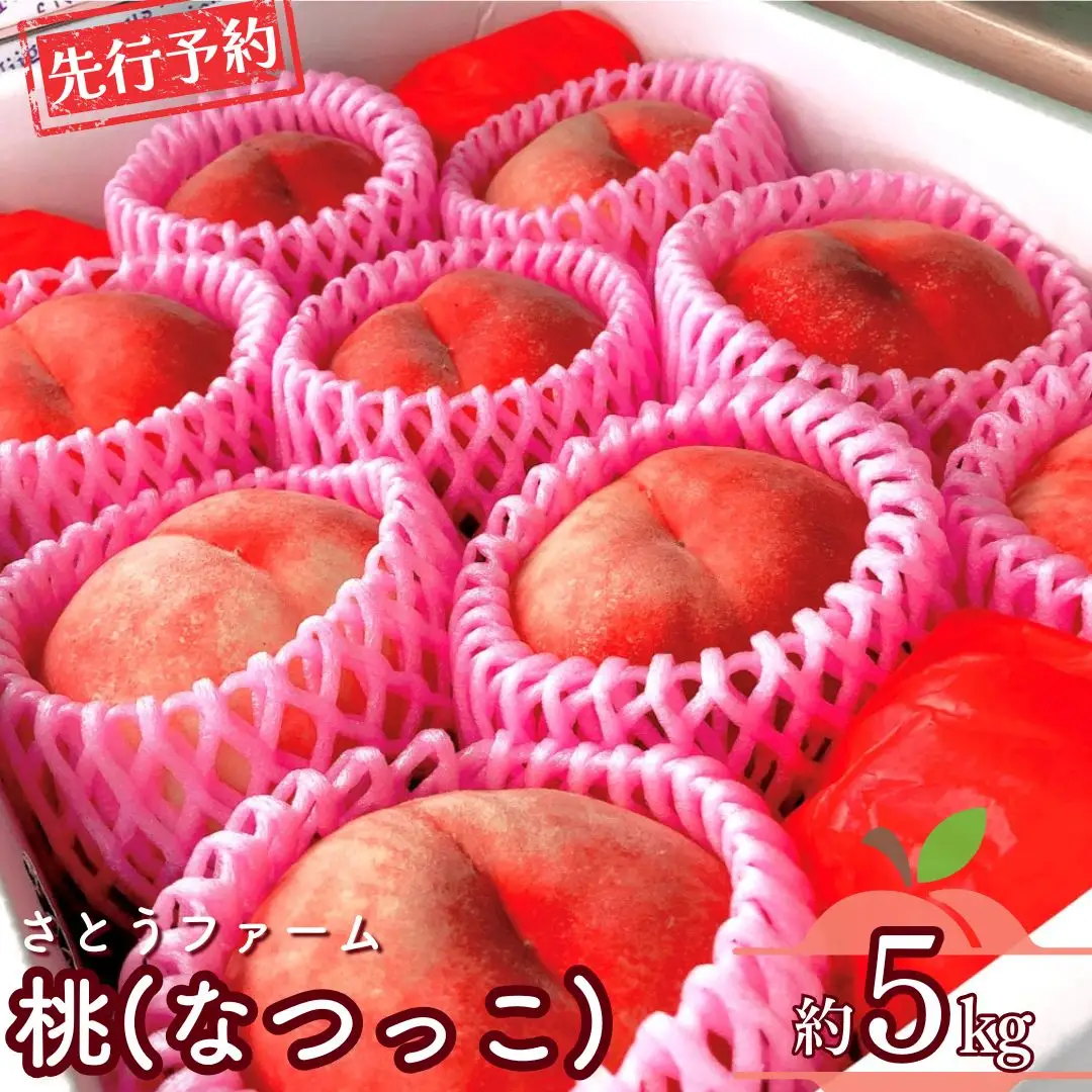 先行予約 桃 (なつっこ) 5kg 令和8年度 新潟県産 桃 さとうふぁ～む