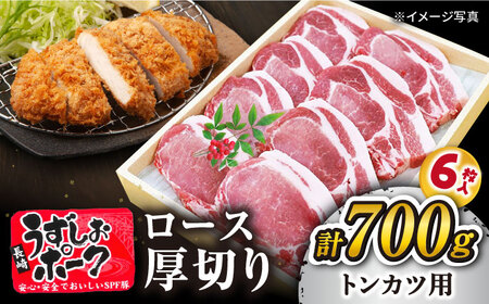 トンカツ用 豚 700g 訳あり CAG100 トンカツ
