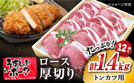 トンカツ 長崎 うずしおポーク ロース 約1.4kg [CAG101] トンカツ ロース