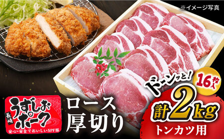 長崎うずしおポーク トンカツ ロース 2kg 訳あり CAG117 トンカツ