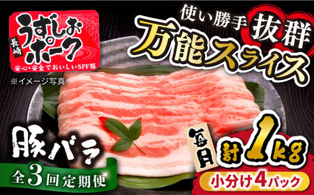 3回定期便  国産豚 バラスライス 計1kg SPF豚 訳あり CAG259 豚肉