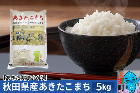令和7年産 秋田県産 あきたこまち 5kg×1袋 あきた美郷づくり