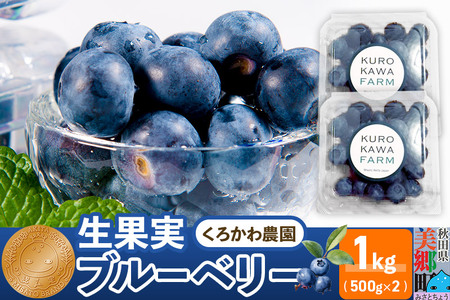 くろかわ農園 ブルーベリー 1kg（500g×2パック）摘みたて 秋田県美郷町