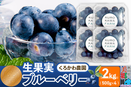 くろかわ農園 ブルーベリー 2kg（500g×4パック）摘みたて 秋田県美郷町
