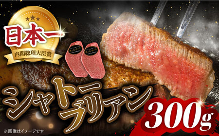 シャトーブリアン 計300g CBA014 シャトーブリアン