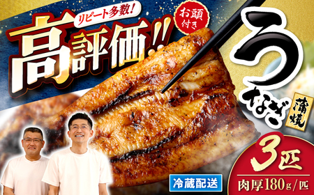 国産うなぎ 180g 3尾 CCA003 鰻 うなぎ