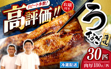 国産 うなぎ 30尾 CCA014 うなぎ 鰻 うなぎ